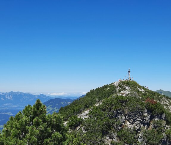 Der Gipfel des Hohen Fraßens und die umliegende Bergwelt bei besten Wetter. | © Melanie Fleisch