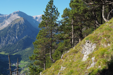 © RM Europaschutzgebiete