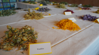 Bergteezeit im Großen Walsertal | © Dajana Baumgartner