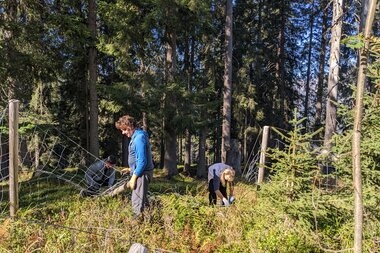 © Naturvielfalttage - Naturschutzverein Verwall Klostertaler Bergwälder