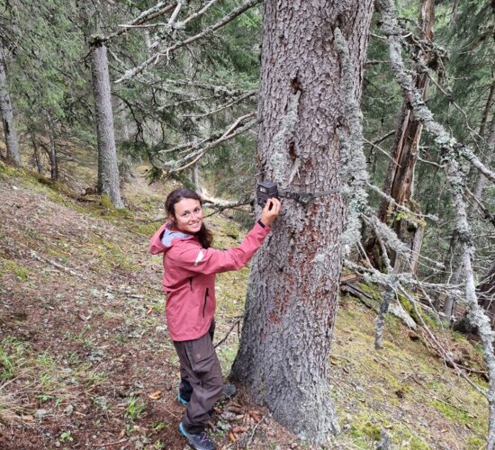 © Naturschutzverein Verwall Klostertaler Bergwälder