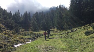 © Gregor Kreuzer