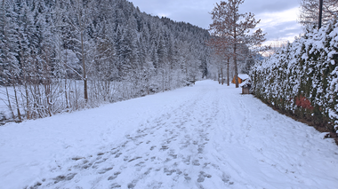 © Danja Sutterlüty