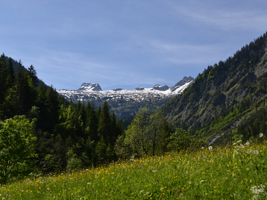 © Martin Caldonazzi