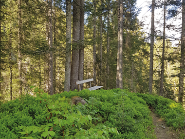 © Dorothea Nachbaur