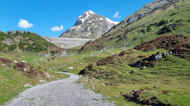 © Danja Sutterlüty