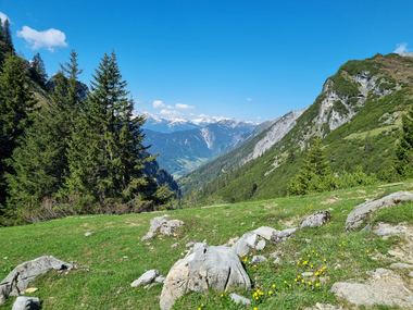 © Danja Sutterlüty