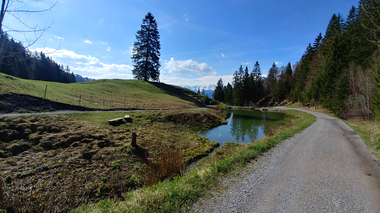 © Dajana Baumgartner