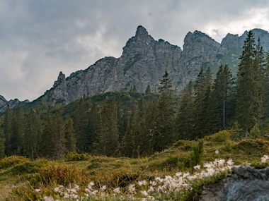 © Thorsten Günthert