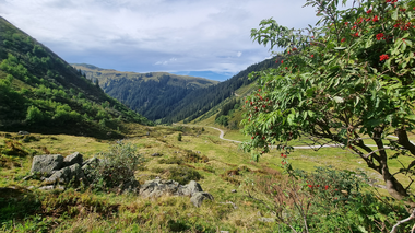 © Danja Sutterlüty