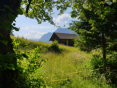 © Danja Sutterlüty