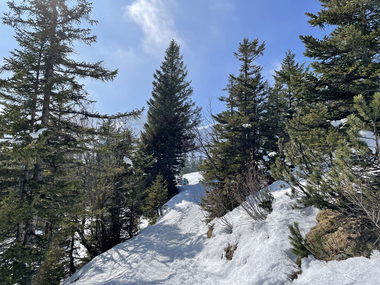 © Dajana Baumgartner