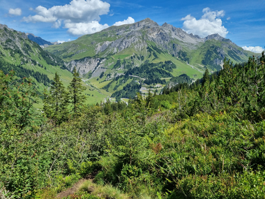 © Danja Sutterlüty